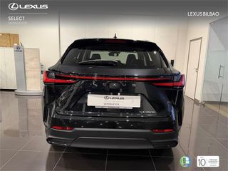 LEXUS NX SUV EXECUTIVE 2.5 Hibrido HEV Transmisión Automati
