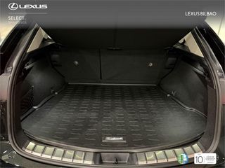 LEXUS NX SUV EXECUTIVE 2.5 Hibrido HEV Transmisión Automati