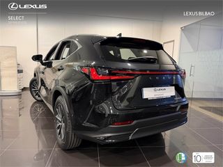 LEXUS NX SUV EXECUTIVE 2.5 Hibrido HEV Transmisión Automati