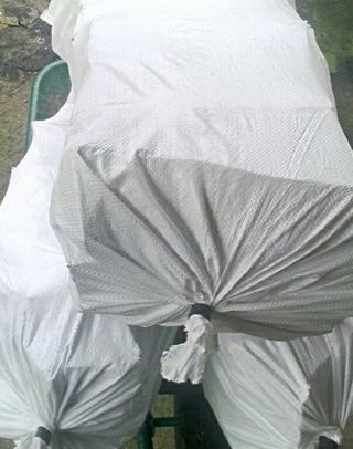 Leña verde para chimeneas