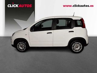 FIAT PANDA 1.0 70CV HYBRID