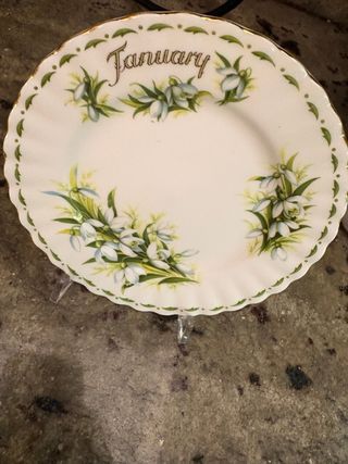 Royal Albert Piatto Gennaio Neve