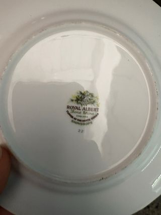 Royal Albert Piatto Gennaio Neve