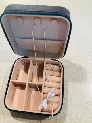 Colgante plata libélula con joyero