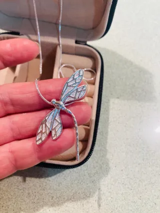 Colgante plata libélula con joyero
