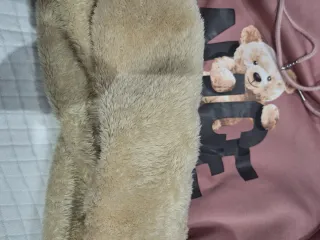 Sudadera invierno oso Nice