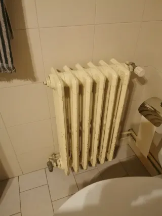 Radiador de hierro fundido