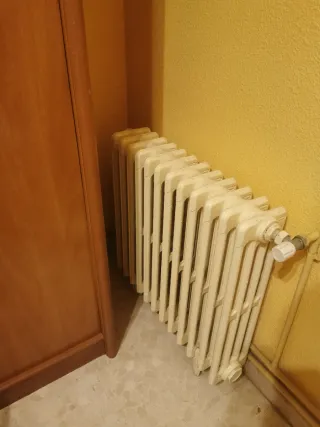 Radiador de hierro fundido