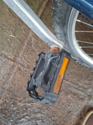 Bicicleta Shimano Excellent Montaña/Carretera