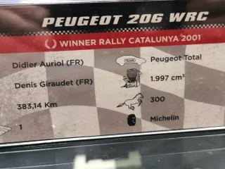 Maqueta Coche Peugeot 206 Rallye