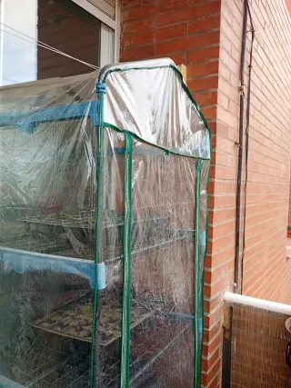 Invernadero para plantas 4 estantes