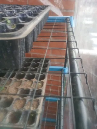 Invernadero para plantas 4 estantes