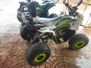Cuatrimoto 1200W Off-Road