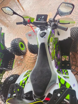 Cuatrimoto 1200W Off-Road