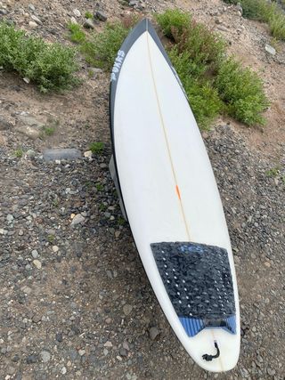 Tabla Surf Pukas Water Lion