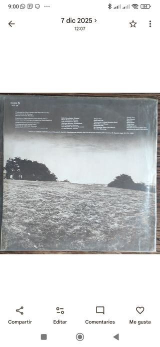 LP The Rise and Fall - Madness