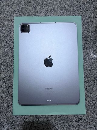 iPad Pro 11” Celurar 256GB Gris