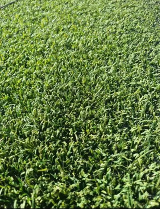 CÉSPED ARTIFICIAL DÉ CAMPOS DÉ FUTBOL RECICLADOS