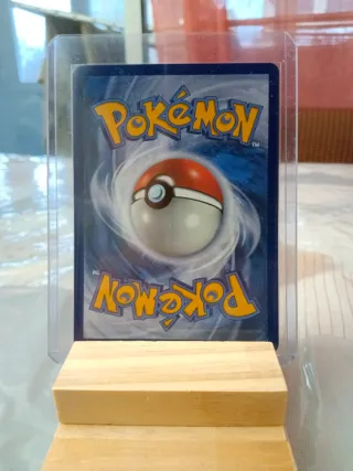 Carta Pokémon Pokochos Gemelos Entrenador