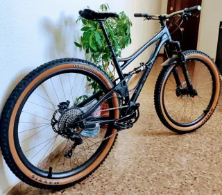 Bicicleta Trail 29