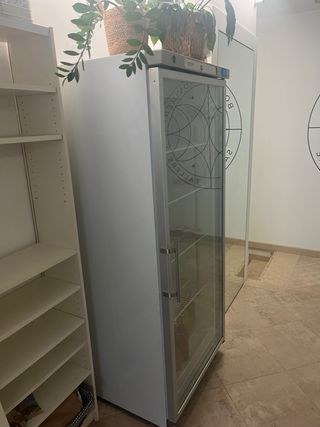 Nevera expositora cristal Cool Head