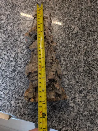 Trozo de corcho para terrario