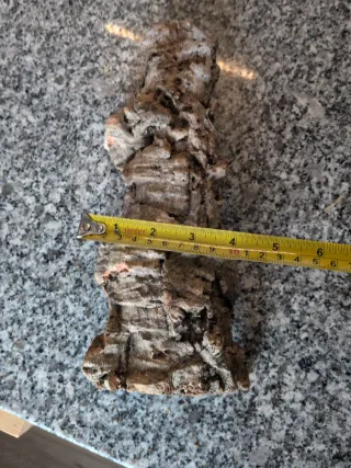 Trozo de corcho para terrario