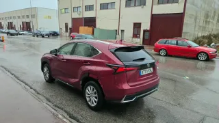 Lexus NX 2018