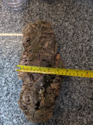 Trozo de corcho grande para terrario