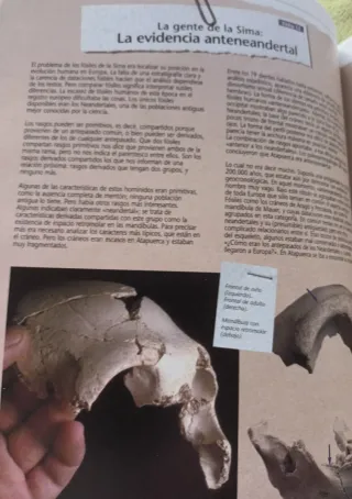 Libro Atapuerca: Un millón de años de historia