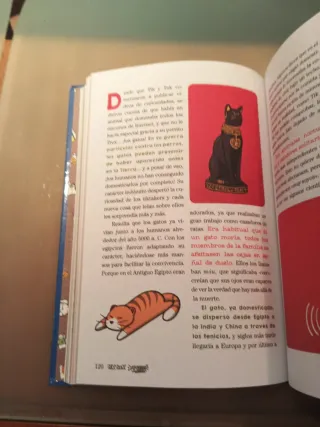 TikTak Xpress: Cosas que no sabías sobre el mun...