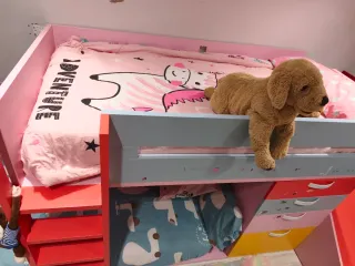 Cama alta infantil con tobogán