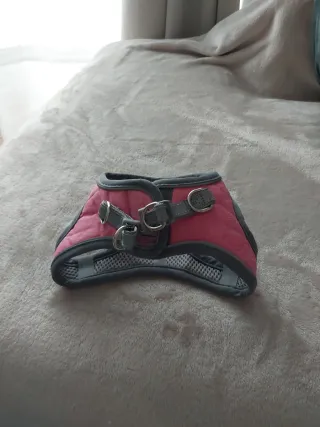 Arnés para perro Talla XS Tommy
