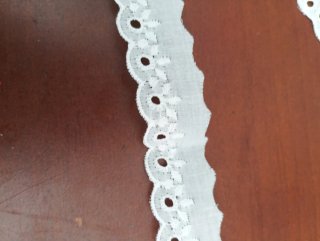 Pizzo Sangallo Cotone bianco