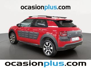 Citroen C4 Cactus BlueHDi 100 Shine ETG6 73 kW (100 CV)