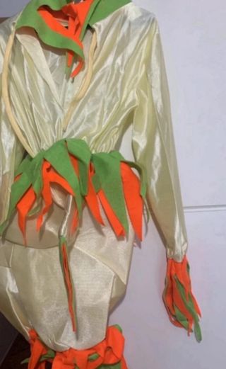 Costume anatroccolo bimbo/bimba