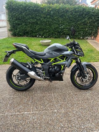 Kawasaki Z 125 Naked Manual