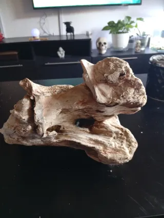 Tronco para acuario tratado