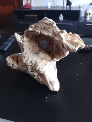 Tronco para acuario tratado