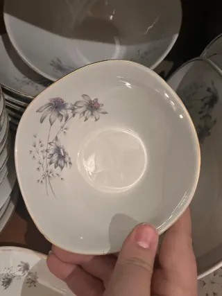 Vajilla porcelana elegante