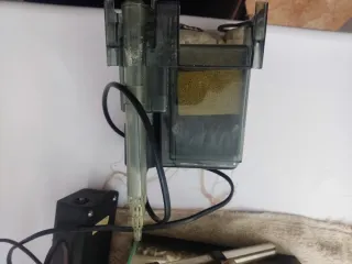 Acuario con plantas y decoración