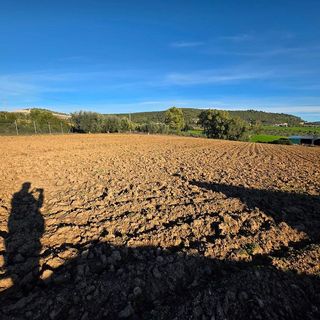 Terreno en venta en Arcos de la Frontera