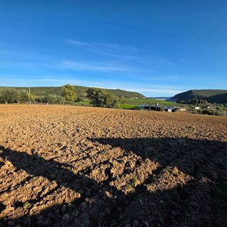 Terreno en venta en Arcos de la Frontera