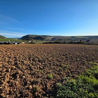 Terreno en venta en Arcos de la Frontera