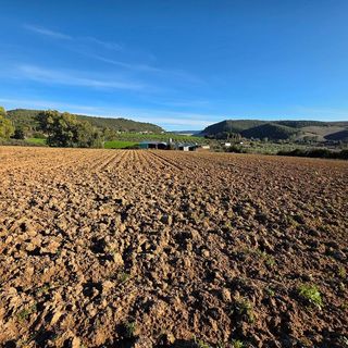 Terreno en venta en Arcos de la Frontera