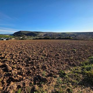 Terreno en venta en Arcos de la Frontera