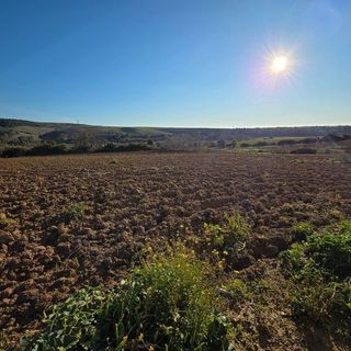 Terreno en venta en Arcos de la Frontera