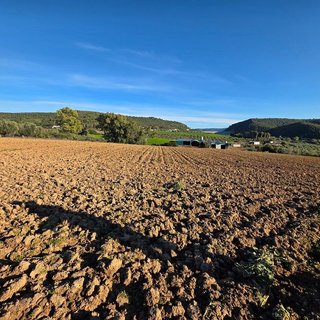 Terreno en venta en Arcos de la Frontera