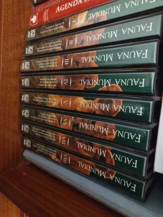 Colección VHS Fauna Mundial (Español)