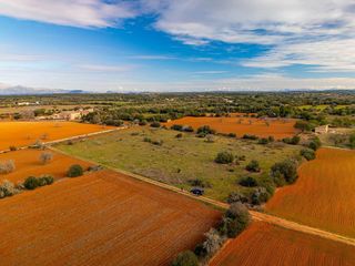Solar en venta en Algaida